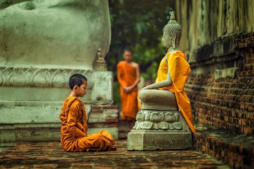 el budismo como una opcin para una vida vegana